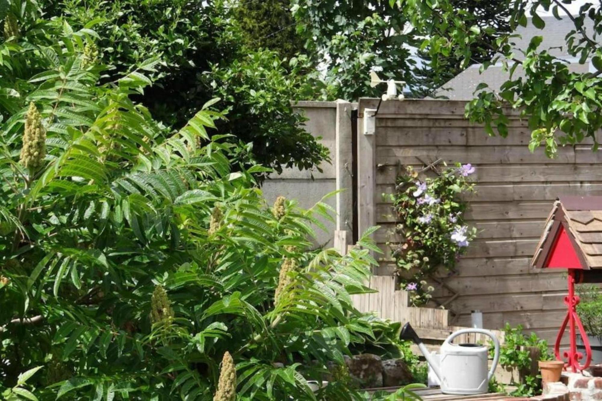 Clos Des Paquerettes : Maison Avec Jardin Privatif Yvetot Dış mekan fotoğraf